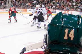 Minnesota Wild Game Photography